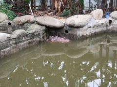 -宁波野生动物园
