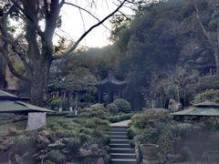 -十八棵（老龙井）御茶园(老龙井店)