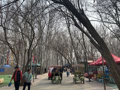 -廊坊市自然公园
