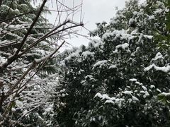 -上海虹桥迎宾馆