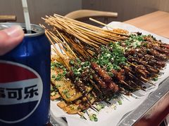 -宜宾小烧烤(川大路三段店)