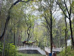 -青龙山国家森林公园