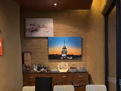 -Efes Turkish & Mediterranean Cuisine 艾菲斯餐厅(陆家嘴店)