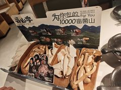 -芸山季·云南山珍菌火锅(南翔印象城MEGA店)