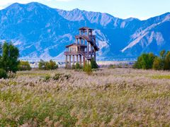 -野鸭湖国家湿地公园