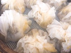 现擀稍麦皮-白老大羊杂碎稍麦