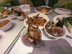 -地中海传奇水汇