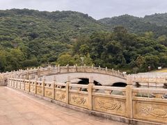 -阳台山森林公园