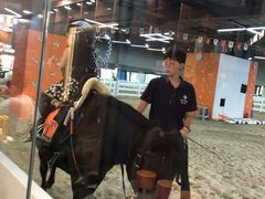 -骑乐马术(广州奥体优托邦中心)