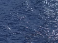 -鼓浪屿内厝澳码头(轮渡站)