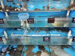水产区-北戴河庆山饭店·海鲜砂锅粥(北戴河黑石路店)