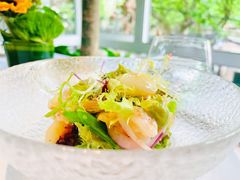 -蝶舍·MAISON PAPILLON