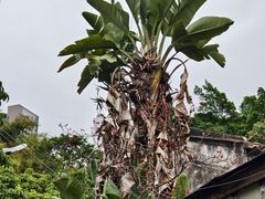 -三溪村