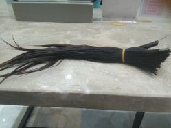 -可可丽舍