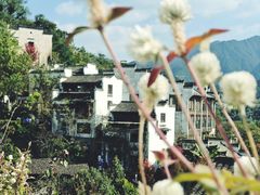 -篁岭景区