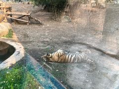 -泉州海丝野生动物世界