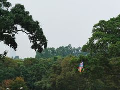 -东莞植物园