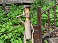 -天女山森林公园