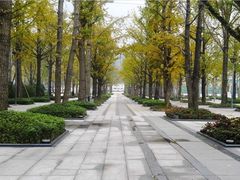 -两江幸福广场