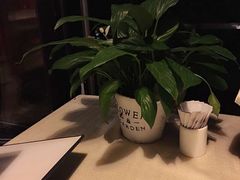 泰莲庭鲟鱼旅行餐厅-Local泰莲庭(虹鳟鱼店)