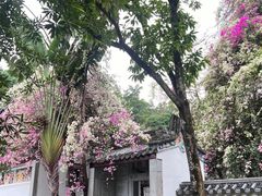 -深圳国际园林花卉博览园