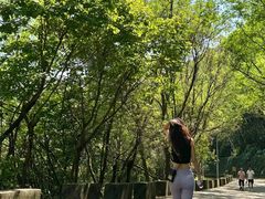 -九曜山