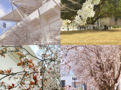 -成都大学-图书馆