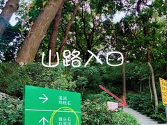 -火炉山森林公园