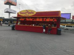 -阿姆斯特丹史基浦机场