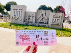 -顾村公园