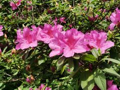 -苏州河梦清园环保主题公园