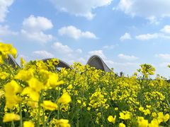 -中国天府农业博览园