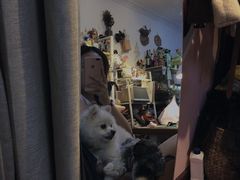 -零几体验diy皮具工作室(振业城店)