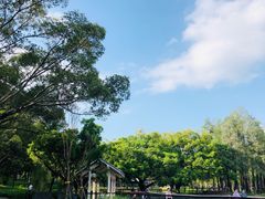 -四海公园(南山区)