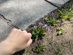 -中国农业博物馆
