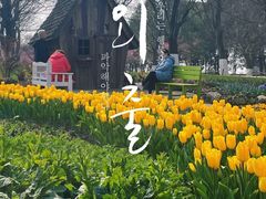 -秀丽东方