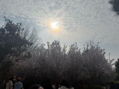 -郑州植物园