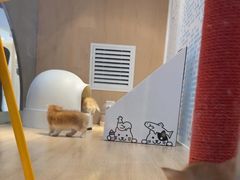 -BABIT巴比特宠物(MOMOPARK店)