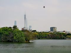 -海珠湖公园