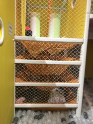 -泛尼尼儿童乐园(文化广场店)