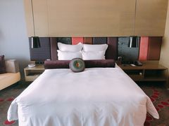 -南京禄口机场雅高铂尔曼大酒店