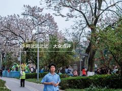 -红星桥(地铁站)