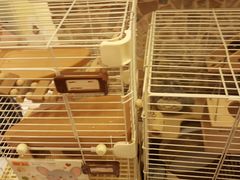 -龙猫仔乐园(惠福东路店)