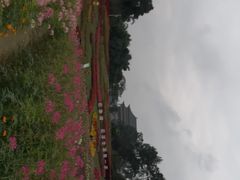 -保利石象湖景区