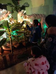 -恐龙探索乐园(磁器口店)