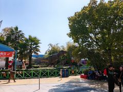 -海合安武汉极地海洋公园