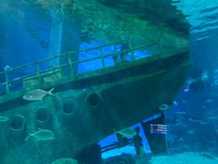 -福州罗源湾海洋世界旅游区