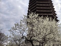 -玲珑塔公园