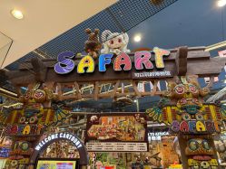 -卡通尼·Safari非洲探索乐园·生日会(金桥国际商业广场店)