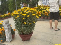 -芽庄大教堂